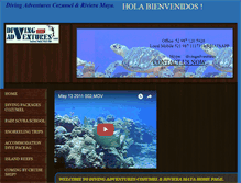 Tablet Screenshot of cozumeldive.com